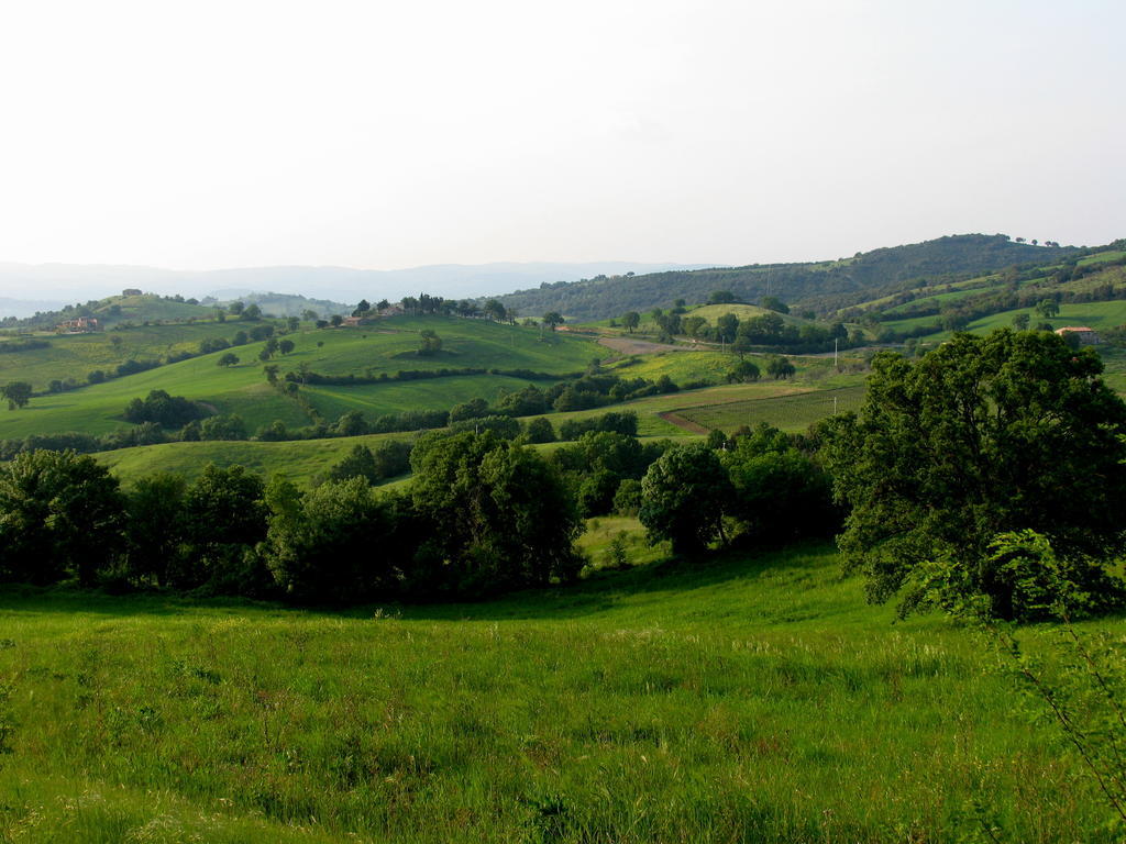 הוילה מנצ'יאנו Poggio Della Quercia מראה חיצוני תמונה